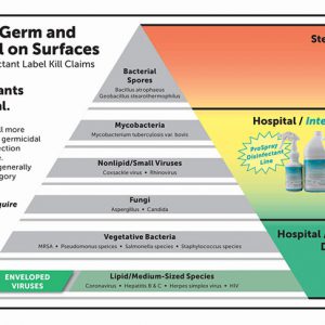 Hierarchy of Germs